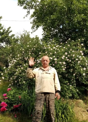 Владимир, 70, Россия, Москва