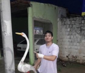 V, 20, Tiangua