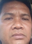 Dani, 43 года, Kota Binjai