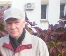 Валерий, 73 года, Липецк
