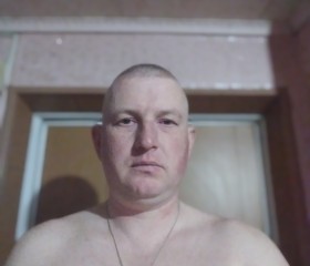 Владимир, 40 лет, Сельцо