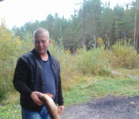 Николай, 44 года, Новодвинск