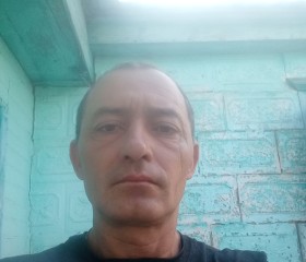Gera, 49, Vladimirskaya