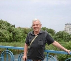 Григорий, 73 года, Москва