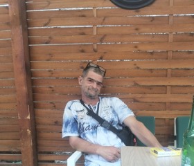 Flavius, 51, Arad
