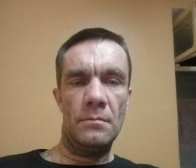 Виталий, 46 лет, Тула