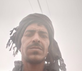 Satya Prakash, 36 лет, Ludhiana