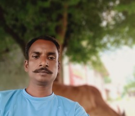 Shakti Singh Raj, 41 год, Indore