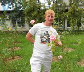 Алексей, 28 лет, Екатеринославка