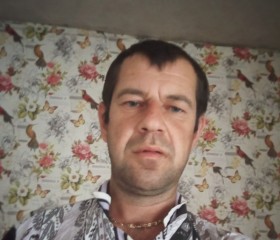 Михаил, 37 лет, Брянск