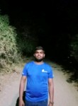 nevil Panjabi, 25 лет, Ahmedabad