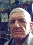 Николай, 76 лет, Новосибирск