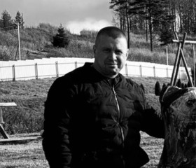 Сергей, 44 года, Пикалёво