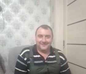 Илья, 48 лет, Наволоки