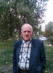 Николай, 73 года, Тольятти