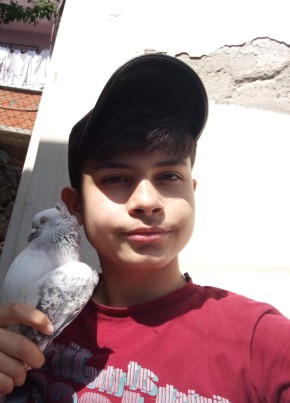 Murat can, 21, Türkiye Cumhuriyeti, Adapazarı