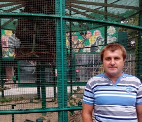 Vladimir, 48 лет, Котельва