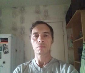 Vasilii, 52 года, Тюмень