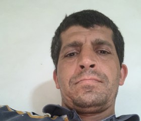 NedaL, 38 лет, الخليل