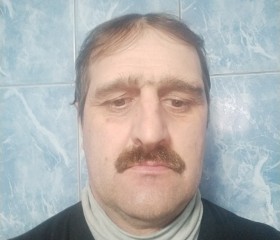 Janos, 56 лет, Piatra Neamț