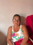 Ceicamaria Maria, 61 год, Laranjeiras