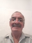 Paulo  Lopes G, 79 лет, Mogi das Cruzes