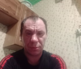 Алексей, 40 лет, Сковородино