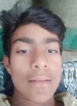 Arun Sagar, 19 лет, Agra