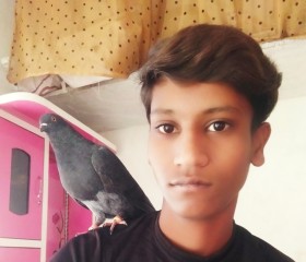 Ayan king, 19 лет, Jaipur