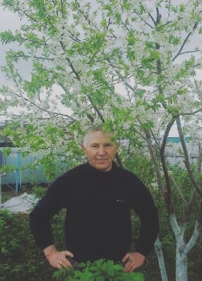 Фёдор, 66, Россия, Новокуйбышевск