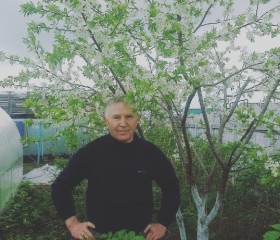 Фёдор, 66 лет, Новокуйбышевск