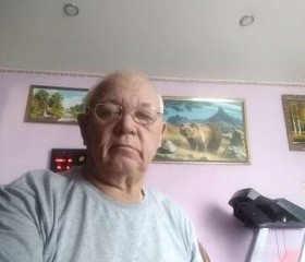 Владимир, 74 года, Казань