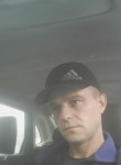 Александр Миро, 42 года, Cluj-Napoca