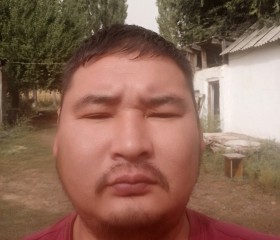Улан Молтоев, 42 года, Бишкек