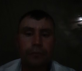 Alek, 39 лет, Toshkent