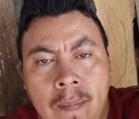 Denis, 46 лет, San Pedro Sula