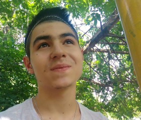Артемий, 23 года, Toshkent