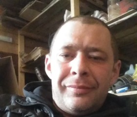 Сергей, 42 года, Волосово