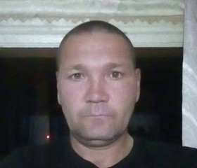 Дмитрий, 50 лет, Волжский (Волгоградская обл.)