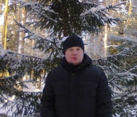Виталий, 42 года, Васильево