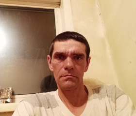 Александр, 47 лет, Славгород