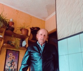 Анатолий, 67 лет, Спасск-Дальний