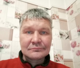 Василий, 52 года, Санкт-Петербург