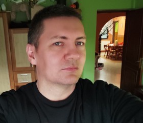 Tamás Papp, 47 лет, Budapest
