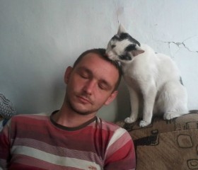 Лев, 29 лет, Барнаул