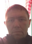 Серёга, 43 года, Новосибирск