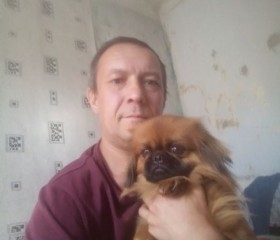 Андрей, 49 лет, Белово