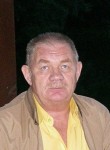 Николай, 74 года, Калининград