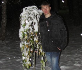 Дмитрий, 28 лет, Грязи