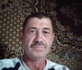 Юрий, 53 года, Шумиха